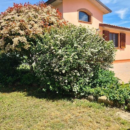 Montepulciano - La Casetta Del Pian Delle Noci Acquaviva  Exteriör bild