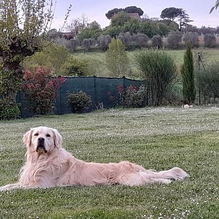 Montepulciano - La Casetta Del Pian Delle Noci Acquaviva  Exteriör bild