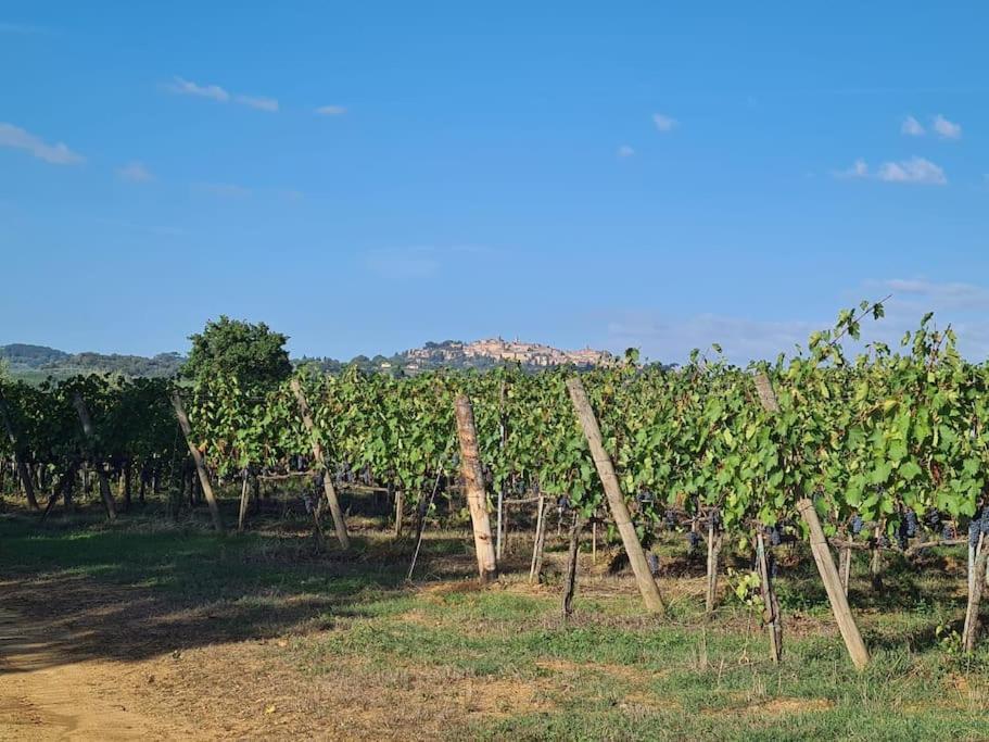 Montepulciano - La Casetta Del Pian Delle Noci Acquaviva  Exteriör bild