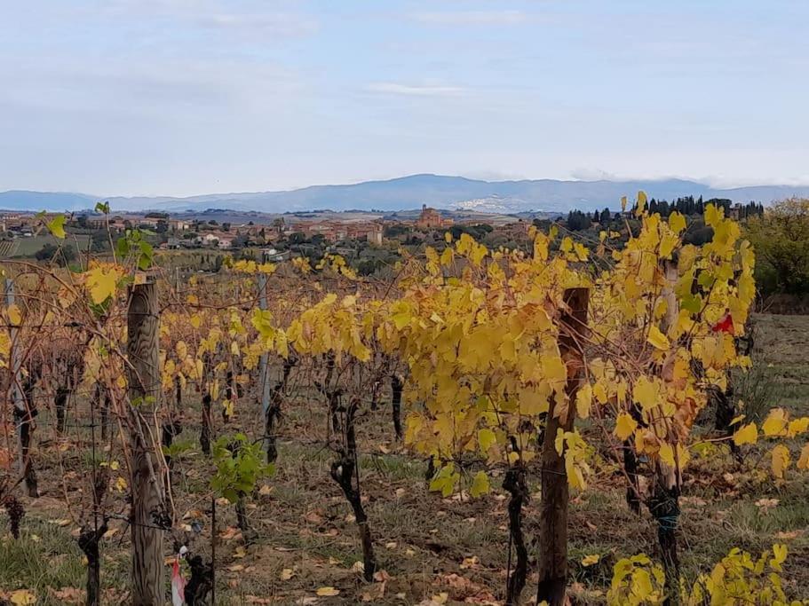 Montepulciano - La Casetta Del Pian Delle Noci Acquaviva  Exteriör bild