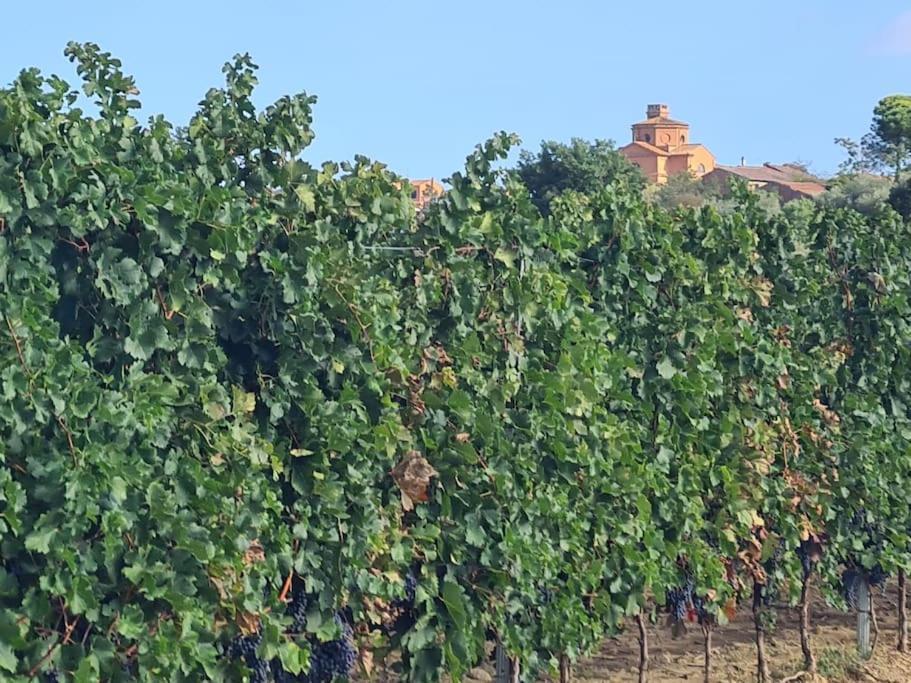 Montepulciano - La Casetta Del Pian Delle Noci Acquaviva  Exteriör bild