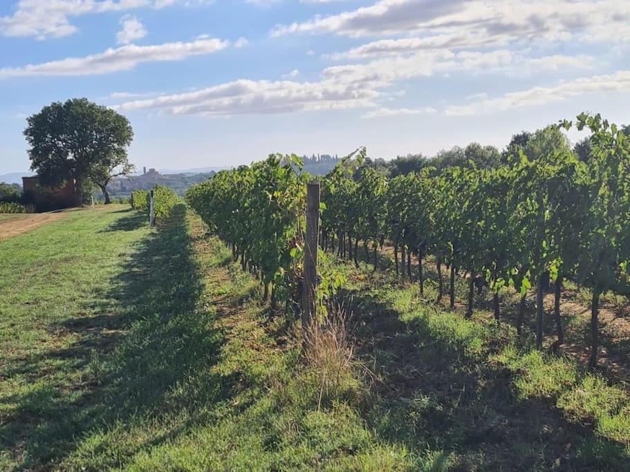 Montepulciano - La Casetta Del Pian Delle Noci Acquaviva  Exteriör bild