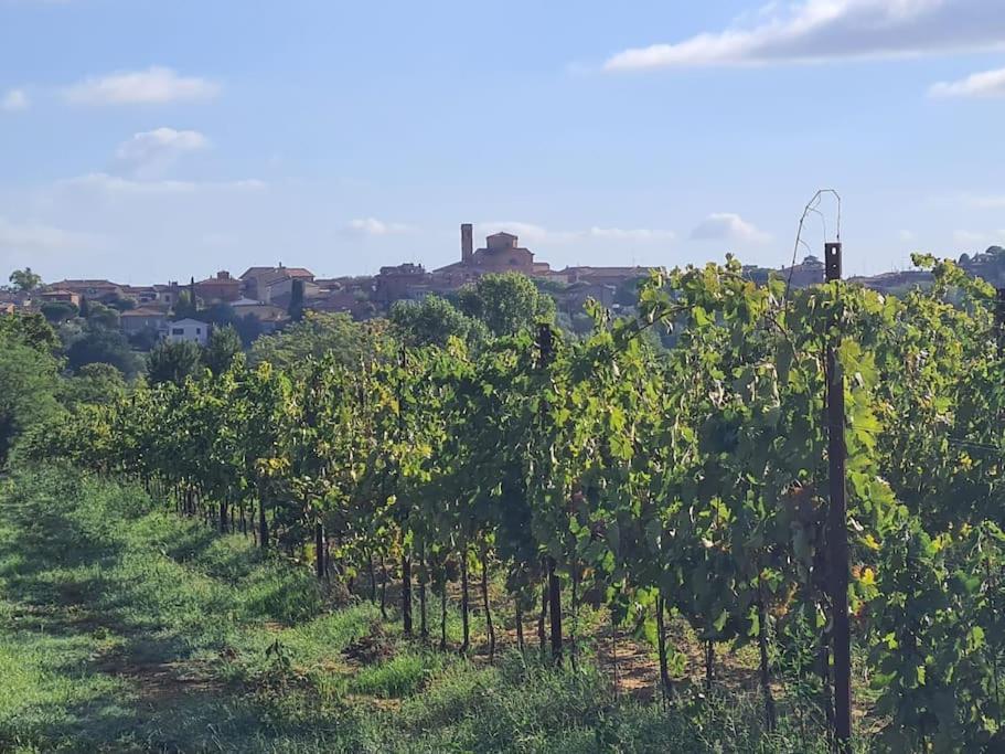 Montepulciano - La Casetta Del Pian Delle Noci Acquaviva  Exteriör bild