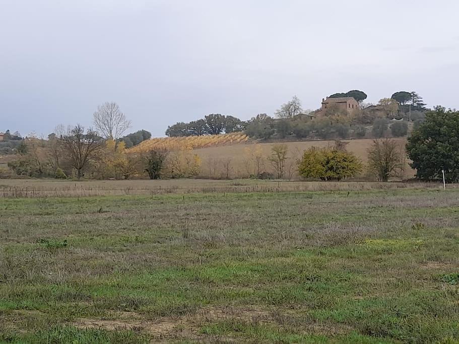 Montepulciano - La Casetta Del Pian Delle Noci Acquaviva  Exteriör bild