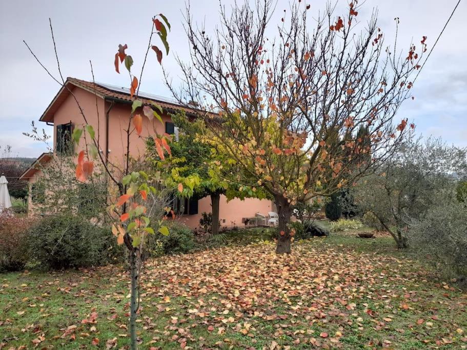 Montepulciano - La Casetta Del Pian Delle Noci Acquaviva  Exteriör bild