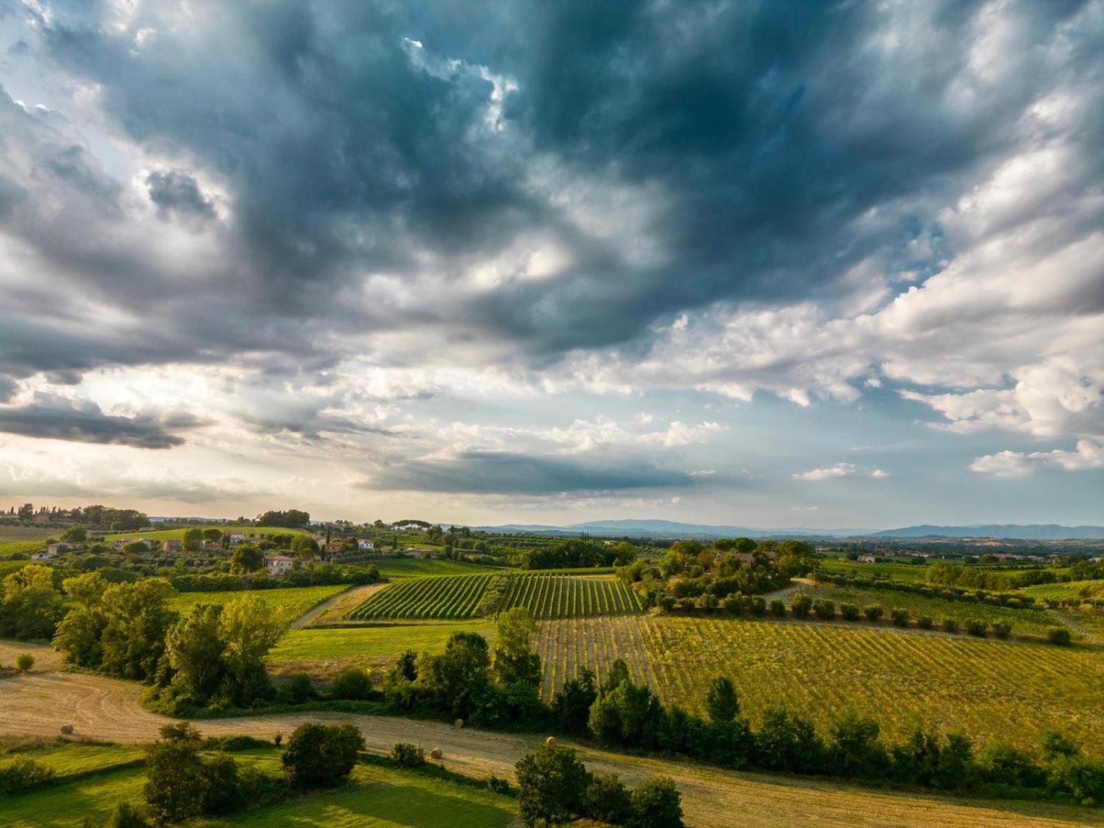 Montepulciano - La Casetta Del Pian Delle Noci Acquaviva  Exteriör bild