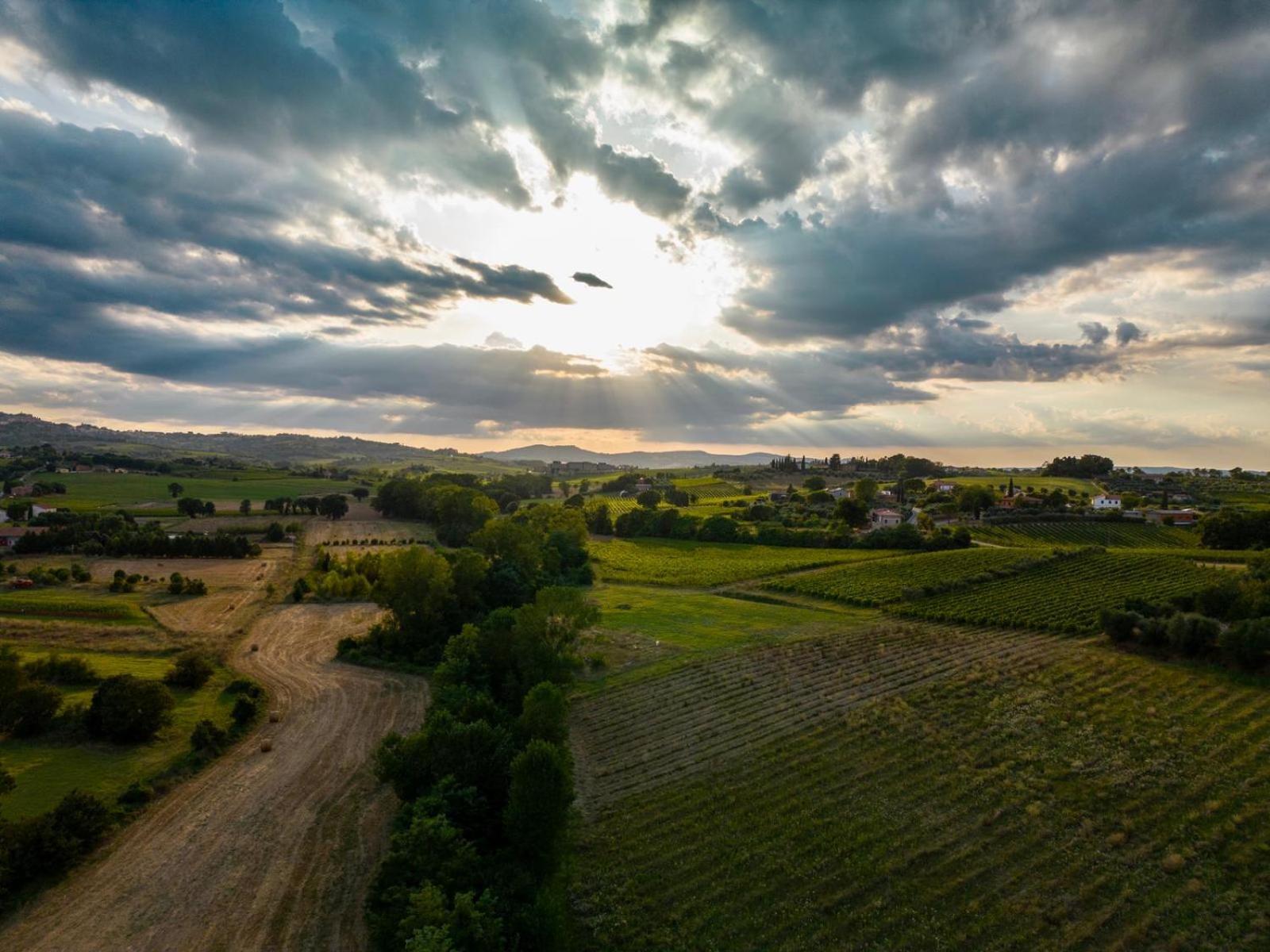 Montepulciano - La Casetta Del Pian Delle Noci Acquaviva  Exteriör bild
