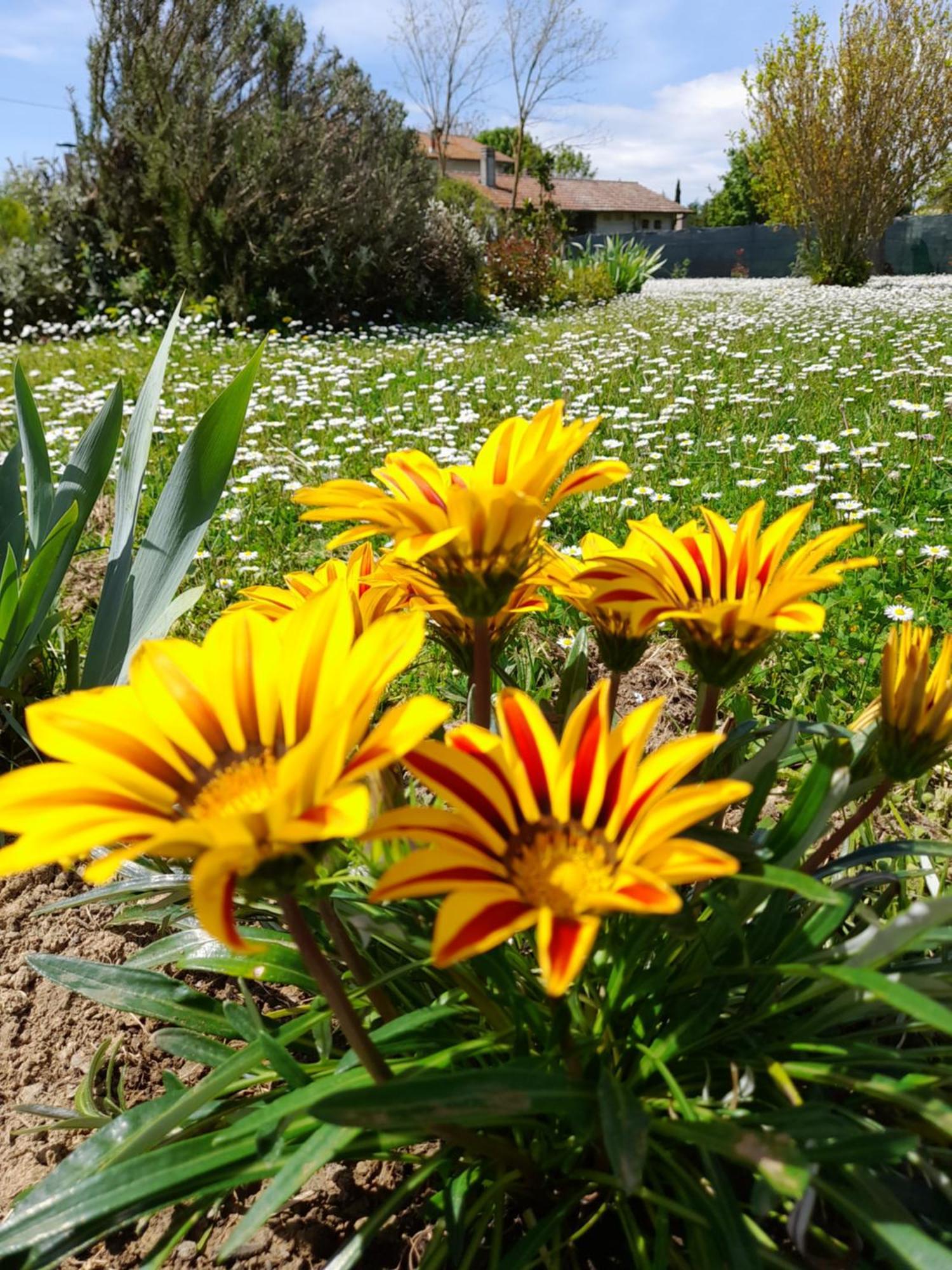 Montepulciano - La Casetta Del Pian Delle Noci Acquaviva  Exteriör bild