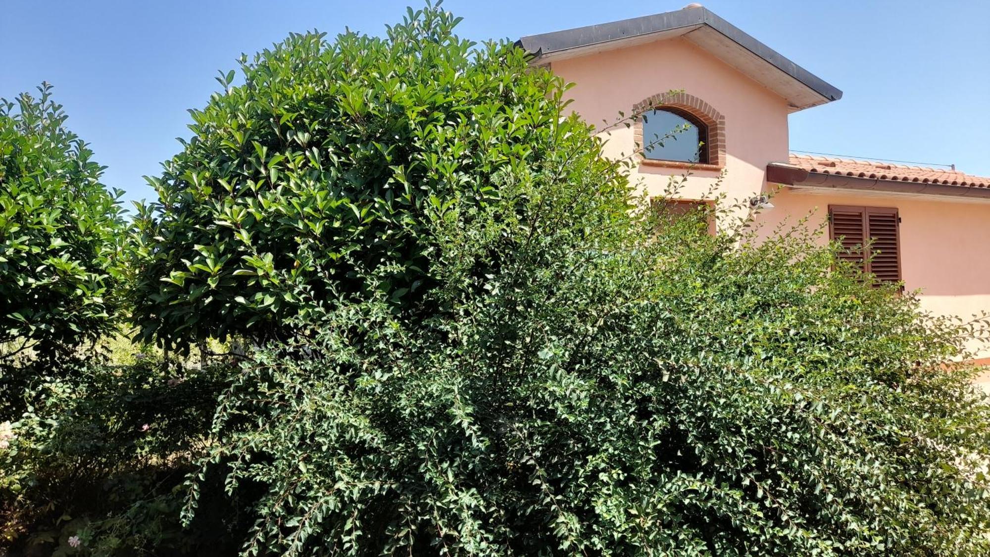 Montepulciano - La Casetta Del Pian Delle Noci Acquaviva  Exteriör bild