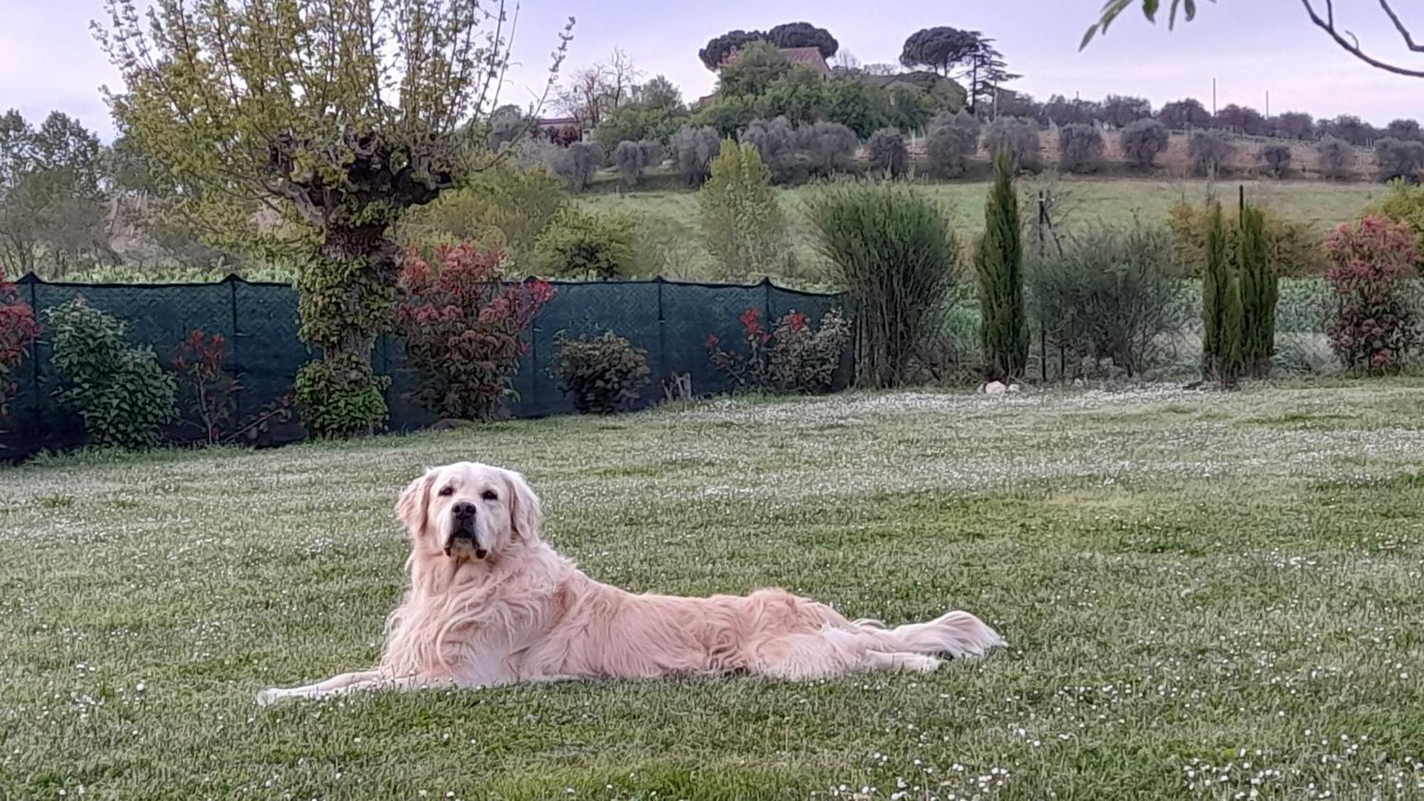 Montepulciano - La Casetta Del Pian Delle Noci Acquaviva  Exteriör bild